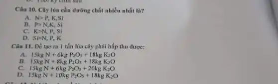 Câu 10. Cây lúa cần dưỡng chất nhiều nhất là?
A. Ngt P K.Si
B. Pgt N,K,Si
C. Kgt N,P,Si
D. Sigt N,P,K
Câu 11. Để tạo ra 1 tấn lúa cây phải hấp thu được:
15kgN+6kgP_(2)O_(5)+18kgK_(2)O
B. 15kgN+8kgP_(2)O_(5)+18kgK_(2)O
C. 15kgN+6kgP_(2)O_(5)+20kgK_(2)O
D. 15kgN+10kgP_(2)O_(5)+18kgK_(2)O