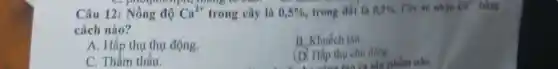 Câu 12: Nồng độ Ca^2+ trong cây là 0,5%  trong đất là 0.2%  Cây sẽ nhận Car
cách nào?
B. Khuếch tàn.
A. Hấp thụ thụ động.
(D) Hấp thu chủ động.
C. Thẩm thấu.