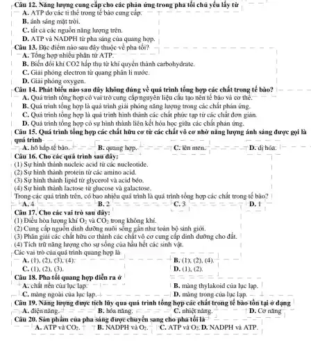 Câu 12: Nǎng lượng cung cấp cho các phản ứng trong pha tối chủ yếu lấy từ
A. ATP do các ti thế trong tế bào cung cấp.
B. ánh sáng mặt trời.
C. tất cả các nguồn nǎng lượng trên.
D. ATP và NADPH từ pha sáng của quang hợp.
Câu 13. Đặc điểm nào sau đây thuộc về pha tối?
- A. Tổng hợp nhiều phân tử ATP.
B. Biến đổi khí CO2 hấp thụ từ khí quyển thành carbohydrate.
C. Giải phóng electron từ quang phân li nướC.
D. Giải phóng oxygen.
Câu 14. Phát biểu nào sau đây không đúng về quá trình tổng hợp các chất trong tế bào? 1-
A. Quá trình tổng hợp có vai trò cung cấp nguyên liệu cấu tạo nên tế bào và cơ thể.
B. Quá trình tổng hợp là quá trình giải phóng nǎng lượng trong các chất phản ứng.
C. Quá trình tổng hợp là quá trình hình thành các chất phức tạp từ các chất đơn giản.
D. Quá trình tổng hợp có sự hình thành liên kết hóa học giữa các chất phản ứng.
Câu 15. Quá trình tổng hợp các chất hữu cơ từ các chất vô cơ nhờ nǎng lượng ánh sáng được gọi là
quá trình
A. hô hấp tế bào	B. quang hợp
I
C. lên men.	D. dị hóa.
Câu 16. Cho các quả trình sau đây:
(1) Sự hình thành nucleic acid từ các nucleotide.
(2) Sự hình thành protein từ các amino acid.
(3) Sự hình thành lipid từ glycerol và acid béo.
(4) Sự hình thành lactose từ glucose và galactose.
Trong các quá trình trên., có bao nhiêu quá trình là quá trình tổng hợp các chất trong tế bào?
A.4	B. 2	- 1-C. 3	D. 1
Câu 17. Cho các vai trò sau đây:
(1) Điều hòa lượng khí O_(2) và CO_(2) trong không khí.
(2) Cung cấp nguồn dinh dưỡng nuôi sống gần như toàn bộ sinh giới.
(3) Phân giải các chất hữu cơ thành các chất vô cơ cung cấp dinh dưỡng cho đất.
(4) Tích trữ nǎng lượng cho sự sống của hầu hết các sinh vật.
Các vai trò của quá trình quang hợp là
A. (1), (2), (3), (4).
B. (1), (2), (4).
C. (1), (2), (3).
I D. (1), (2).
Câu 18. Pha tối quang hợp diễn ra ở
+ A. chất nền của lục lạp.
B. màng thylakoid của lục lạp.
C. màng ngoài của lục lạp	D. màng trọng của lục lạp.
Câu 19. Nǎng lượng được tích lũy qua quá trình tổng hợp các chất trong tế bào tồn tại ở dạng
+B
A. điện nǎng. +
. hóa nǎng. F .
C. nhiệt nǎng.
D. Cơ nǎng
Câu 20. Sản phẩm của pha sáng được chuyển sang cho pha tối là
A. ATP và CO_(2)
+ B.NADPH và O_(2)
= C. ATP và O_(2) D. NADPH và ATP.