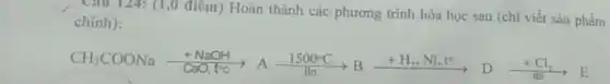 , Câu 124: (1,0 điểm)Hoàn thành các phương trình hóa học sau (chi viết sản phẩm
chinh):
CH_(3)COONaxrightarrow (+NaOH)arrow underset (In)(xrightarrow (1500^circ C))Bxrightarrow (+H_(2)NN_(4)I^+)Dxrightarrow (+Cl_(2))E