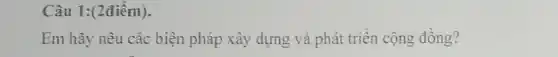 Câu 1:(2điểm).
Em hãy nêu các biện pháp xây dựng và phát triển cộng đồng?