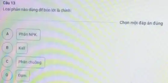 Câu 13
Loại phân nào dùng đế bón lót là chính:
Chọn một đáp án đúng
A
Phân NPK.
B B
Kali
C
Phân chuồng.
D
Đam.