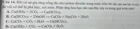 Câu 14. Khi có sự gia tǎng nồng độ của carbon dioxide trong nước biển thì các rạn san hô và núi
đá vôi có thể bị phá hủy, xói mòn. Phản ứng hóa học nào sau đây xảy ra trong quá trình trên?
A Ca(OH)_(2)+2CO_(2)arrow Ca(HCO_(3))_(2)
B. Ca(HCO_(3))_(2)+2NaOHarrow CaCO_(3)+Na_(2)CO_(3)+2H_(2)O
CaCO_(3)+CO_(2)+H_(2)Oarrow Ca(HCO_(3))_(2)
D Ca(OH)_(2)+CO_(2)arrow CaCO_(3)+H_(2)O