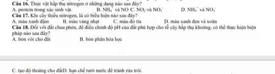 Câu 16. Thực vật hấp thụ nitrogen ở những dạng nào sau đây?
A. protein trong xác sinh vật.
B. NH_(4)^+ và NO C. NO_(2) và NO_(3)^-
D. NH_(4)^+ và NO_(3)^-
Câu 17. Khi cây thiếu nitrogen, lá có biểu hiện nào sau đây?
A. màu xanh đậm
B. màu vàng nhạt
C. màu đỏ tía
D. màu xanh đen và xoǎn
Câu 18. Đối với đất chua phèn, để điều chỉnh độ pH của đất phù hợp cho rễ cây hấp thụ khoáng, có thể thực hiện biện
pháp nào sau đây?
A. bón vôi cho đất
B. bón phân hóa học
C. tạo độ thoáng cho đấtD. hạn chế tưới nước để tránh rửa trôi.