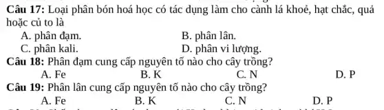 Câu 17: Loại phân bón hoá học có tác dụng làm cho cành lá khoẻ, hạt : chắc, quả
hoặc củ to là
A. phân đạm.
B. phân lân.
C. phân kali.
D. phân vi lượng.
Câu 18: Phân đạm cung cấp nguyên tố nào cho cây trồng?
A. Fe
B. K
C. N
D. P
Câu 19: Phân lân cung cấp nguyên tố nào cho cây trồng?
A. Fe
B. K
C. N
D. P