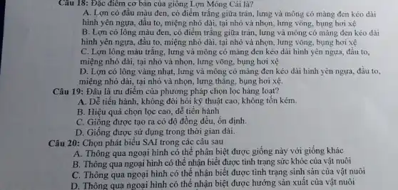 Câu 18: Đặc điêm cơ bản của giông Lợn Móng Cái là?
A. Lợn có đầu màu đen, có điểm trǎng giữa trán, lưng và mông có màng đen kéo dài
hình yên ngựa, đầu to, miệng nhỏ dài,tại nhỏ và nhọn lưng võng, bụng hơi xệ
B. Lợn có lông màu đen, có điểm trắng giữa trán , lưng và mông có màng đen kéo dài
hình yên ngựa, đầu to, miệng nhỏ dài,, tại nhỏ và nhọn , lưng võng, bụng hơi xệ
C. Lợn lông màu trǎng, lưng và mông có màng đen kéo dài hình yên ngựa.đầu to.
miệng nhỏ dài, tại nhỏ và nhọn, lưng võng, bụng hơi xệ
D. Lợn có lông vàng nhạt, lưng và mông có màng đen kéo dài hình yên ngựa, đâu to,
miệng nhỏ dài, tại nhỏ và nhọn, lưng thǎng, bụng hơi xệ.
Câu 19: Đâu là ưu điểm của phương pháp chọn lọc hàng loat?
A. Dễ tiến hành.không đòi hỏi kỹ thuật cao, không tôn kém.
B. Hiệu quả chọn lọc cao, dễ tiên hành
C. Giông được tạo ra có độ đồng đều, ôn định.
D. Giống được sử dụng trong thời gian dài.
Câu 20: Chọn phát biểu SAI trong các câu sau
A. Thông qua ngoại hình có thể phân biệt được giống này với giống khác
B. Thông qua ngoại hình có thể nhận biết được tình trạng sức khỏe của vật nuôi
C. Thông qua ngoại hình có thể nhận biết được tình trạng sinh sản của vật nuôi
D. Thông qua ngoại hình có thể nhận biệt được hướng sản xuất của vật nuôi