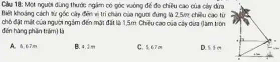 Câu 18: Một người dùng thước ngắm có góc vuông đế đo chiều cao của cảy dira
Biết khoảng cách từ gốc cây đến vị trí chân của người đứng là 2,5m, chiều cao tử
chó đặt mắt của người ngâm đến mặt đất là 1,5m. Chiều cao của cây dừa (làm tròn
đến hàng phần trǎm) là
A. 6,67m
B. 4.2 m
C. 5,67m
D. 5.5 m