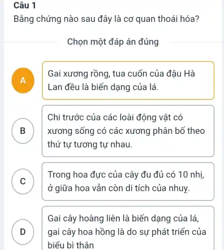 Câu 1
Bằng chứng nào sau đây là cơ quan thoái hóa?
Chọn một đáp án đúng
A
Gai xương rồng , tua cuốn của đậu Hà
Lan đều là biến dạng của lá.
B xương sống có các xương phân bố theo
Chi trước của các loài động vật có
thứ tự tương tự nhau.
C
Trong hoa đực của cây đu đủ có 10 nhị,
v
ở giữa hoa vẫn còn di tích của nhuy.
Gai cây hoàng liên là biến dạng của lá,