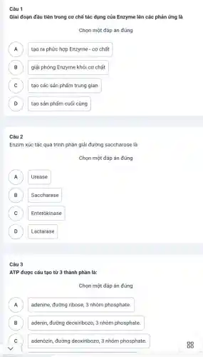 Câu 1
Giai đoạn đầu tiên trong cơ chế tác dụng của Enzyme lên các phản ứng là
Chọn một đáp án đúng
A tạo ra phức hợp Enzyme - cơ chất A
B giải phóng Enzyme khỏi cơ chất D
C ) tạo các sản phẩm trung gian
D tạo sản phẩm cuối cùng D
Câu 2
Enzim xúc tác quá trình phân giải đường saccharose là
Chọn một đáp án đúng
Urease
A
B Saccharase
D
C Enterôkinase C
D Lactarase D
Câu 3
ATP được cấu tạo từ 3 thành phần là:
Chọn một đáp án đúng
adenine, đường ribose, 3 nhóm phosphate.
.
B adenin, đường deoxiribozo 3 nhóm phosphate. B
C ) adenôzin, đường deoxiribozơ, 3 nhóm phosphate