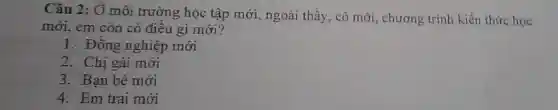 Câu 2: Ở môi trường học tập mới, ngoài thầy, cô mới, chương trình kiến thức học
mới, em còn có điều gì mới?
1. Đồng nghiệp mới
2. Chị gái mới
3. Bạn bè mới
4. Em trai mới