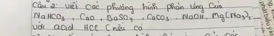 Câu 2: viêt các phuóng hinh phain ling Cúa mathrm(NaHCO)_(3), mathrm(CaO), mathrm(BaSO)_(4), mathrm(CaCO)_(3), mathrm(NaOH), mathrm(Mg)(mathrm(NO)_(3))_(2) với acid HCe Cnêi có