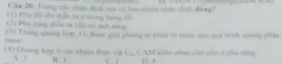 Câu 20. Trong các nhạn đinh sau có bao nhiêu nhàn dinh dung?
(1) Pha toi chi dien ra o trong bong tor.
(2) Pha sang dien ra cân có ánh sáng.
(1) Trong quang hop. O_(2) được giải phóng từ phàn từ nước qua qua trinh quang phàn
nuoc
(4) Quang hep o các nhóm thực vật C.CAM khác nhau chủ yếu o pha sang.
A. 2
B. 3
C. I
D. 4