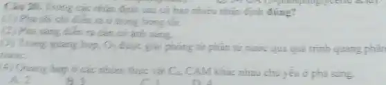 Câu 20. Trong các nhận định sau có bao nhiêu nhận định đúng?
(1) Pha toi chi dien ra o trong bong toi.
(2) Pice sáng điền ta cân có ánh sáng.
(3) Trong givang hop. O_(2) được giai phóng từ phân từ nước qua quá trình quang phân
nước
(4) Quang hợp ở các nhóm thực vật C_(4) CAM khác nhau chu yêu ở pha sáng.
A. 2
B. 3