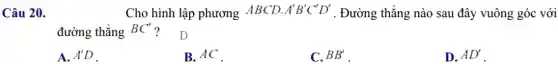 Câu 20.	Cho hình lập phương ABCD. A'B'C'D' . Đường thẳng nào sau đây vuông góc với
đường thẳng BC' ?
D
A. A'D
B. AC
C. BB'
D. AD'