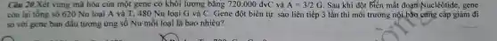Câu 20.Xét vùng mã hóa của một gene có khối lượng bằng 720.000dvC và A=3/2G . Sau khi đột biến mất đoạn Nuclêôtide,gene
còn lại tổng số 620 Nu loại A và T, 480 Nu loai G và C . Gene đột biến tự sao liên tiếp 3 lần thì môi trường nội bào cung cấp giảm đi
so với gene ban đầu tương ứng số Nu mỗi loại là bao nhiêu?
__