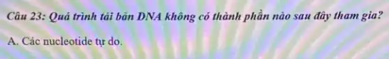 Câu 23: Quả trình tải bản DNA không có thành phần nào sau đây tham gia?
A. Các nucleotide tự do.