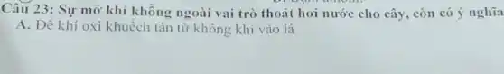Câu 23: Sự mở khí không ngoài vai trò thoát hơi nước cho cây, còn có ý nghĩa
A. Đề khí oxi khuếch tán từ không khí vào lá