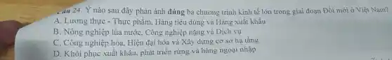 cấu 24. Ý nào sau đây phải anh đó ing ba chương trình kinh tế lớn trong giai đoạ n Đổi mới ở Việt Nam?
A. Lương thực - Thực phẩm, Hàng tiêu dùng và Hàng xuất khẩu
B. Nông nghiệp lúa nước, Công nghiệp nặng và Dịch vụ
C. Công nghiệp hóa . Hiệ n đại hóa và Xây dựng cơ sở hạ tầng
D. Khối phục xuất khẩu phát triển ting và hàng 1 ngoại nhập