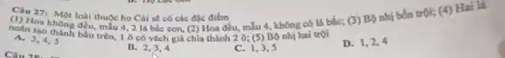 Câu 27: Một loại thuộc họ Cài sê có các đặc điểm (1) Hoa không đều, milu 4, 2 lá bắc con (2) Hoa đều, mlu 4, không có lá bắc; (3) Bộ nhị bốn trội; (4) Hai lá
notin tao thành bầu trên , 1 ô có vách giả chia thành 2 0; (5)Bộ nhị hai trội
A. 3,4,5
B. 2,3.4
C. 1,3,5
D. 1,2,4