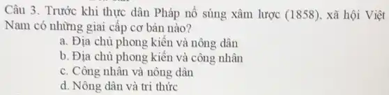 Câu 3. Trước khi thực dân Pháp nổ súng xâm lược (1858) xã hội Việt
Nam có những giai cấp cơ bàn nào?
a. Địa chủ phong kiến và nông dân
b. Địa chủ phong kiến và công nhân
c. Công nhân và nông dân
d. Nông dân và tri thức