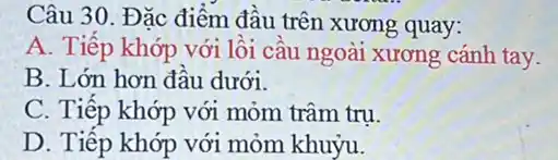 Câu 30. Đặc điểm đầu trên xương quay:
A. Tiếp khớp với lồi cầu ngoài xương cánh tay.
B. Lớn hơn đầu dưới.
C. Tiếp khớp với mòm trâm trụ.
D. Tiếp khớp với mỏm khuỷu.