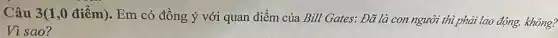 Câu 3(1,0 điểm). Em có đồng ý với quan điểm của Bill Gates: Đã là con người thì phải lao động. không?
Vì sao?