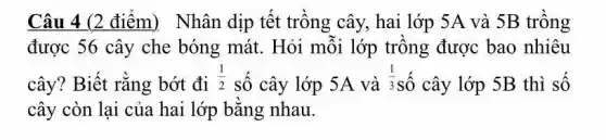 Câu 4 (2 điểm)Nhân dịp tết trồng cây, hai lớp 5A và 5B trồng
được 56 cây che bóng mát. Hỏi mỗi lớp trồng được bao nhiêu
cây? Biết rằng bớt đi (1)/(2) số cây lớp 5A và (1)/(3) số cây lớp 5B thì số
cây còn lại của hai lớp bằng nhau.