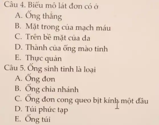 Câu 4. Biểu mô lát đơn có ở
A. Ống thẳng
B. Mặt trong của mạch máu
C. Trên bề mặt của da
D. Thành của ống mào tinh
E. Thực quản
Câu 5. Ông sinh tinh là loai
A. Ông đơn
B. Ống chia nhánh
C. Ống đơn cong queo bịt kính một đầu
D. Túi phức tạp
E. Ông túi