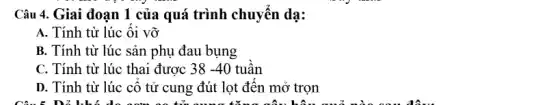 Câu 4. Giai đoạn 1 của quá trình chuyển dạ:
A. Tính từ lúc ối vỡ
B. Tính từ lúc sản phụ đau bụng
C. Tính từ lúc thai được 38-40 tuần
D. Tính từ lúc cổ tử cung đút lọt đến mở trọn