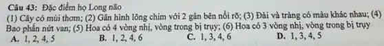 Câu 43: Đặc điểm họ Long não
(1) Cây có mùi thơm; (2)Gân hình lông chim với 2 gân bên nối rõ; (3) Đài và tràng có màu khác nhau; (4)
Bao phân nứt van;(5) Hoa có 4 vòng nhị, vòng trong bị trụy; (6) Hoa có 3 vòng nhị,vòng trong bị trụy
A. 1,2,4,5
B. 1,2,4,6
C. 1,3,4,6
D. 1,3,4,5