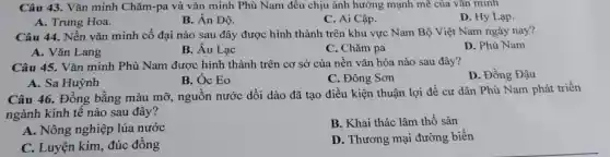 Câu 43. Vǎn minh Chǎm-pa và vǎn minh Phù Nam đều chịu ảnh hưởng mạnh mẽ của vǎn minh
A. Trung Hoa.
B. Ân Độ.
C. Ai Cập.
D. Hy Lạp.
Câu 44. Nền vǎn minh cổ đại nào sau đây được hình thành trên khu vực Nam Bộ Việt Nam ngày nay?
B. Âu Lạc
D. Phù Nam
A. Vǎn Lang
C. Chǎm pa
Câu 45. Vǎn minh Phù Nam được hình thành trên cơ sở của nền vǎn hóa nào sau đây?
D. Đồng Đậu
A. Sa Huỳnh
B. Óc Eo
C. Đông Sơn
Câu 46. Đồng bằng màu mỡ,nguồn nước dồi dào đã tạo điều kiện thuận lợi để cư dân Phù Nam phát triển
ngành kinh tế nào sau đây?
A. Nông nghiệp lúa nước
B. Khai thác lâm thổ sản
C. Luyện kim đúc đồng
D. Thương mại đường biển