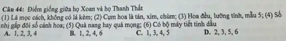 Câu 44: Điểm giống giữa họ Xoan và họ Thanh Thất
(1) Lá mọc cách, không có lá kèm; (2) Cụm hoa là tán, xim , chùm; (3) Hoa đều , lưỡng tính, mẫu 5;(4) Số
nhị gấp đôi số cánh hoa; (5 ) Quả nang hay quả mọng; (6) Có bộ máy tiết tinh dâu
A. 1,2,3,4
B. 1,2,46
C. 1,3,4 . 5
D. 2,3,5