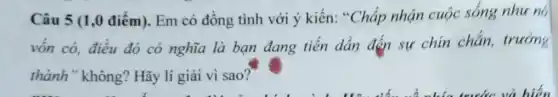 Câu 5 (1,0 điểm).Em có đồng tình với ý kiến: "Chấp nhận cuộc sống nhu nó
vốn có, điều đó có nghĩa là bạn đang tiến dần đến sự chín chắn,trường
thành" không?Hãy lí giải vi sao?