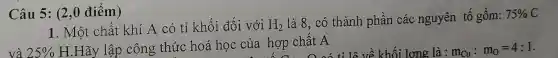 Câu 5: (2,0 điểm)
1. Một chất khí A có tỉ khối đối với H_(2)
là 8, có thành phần các nguyên tố gồm: 75% C
và
25% 
H.Hãy lập công thức hoá học của hợp chất A