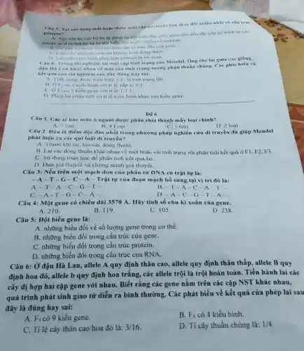 Câu 5: Tại sao dạng mất hoặc thêm một cập nucleotit lam thay đôi nhiều nhất ve chu true
protein?
A. Sắp xếp lại các bộ ba từ điểm bi đột biến đến cuối gene dần đến sắp xếp lại trinh tự các
amino acid từ ma bó ba bị đột biến đến cuối chuôi polypeptide
B. Do phil votrang thai hai hoa san có ban đầu của gene
C. Làm cho enzyme sira sai khong hoat động được
D. Làm cho qua trinh tổng hợp protein bi roi loan
Câu 6: Trong thí nghiệm lai một cặp tinh trạng của Mendel. Ông cho lai giữa các giống
đậu Hà Lan khic nhau về một cặp tính trạng tương phàn thuần chúng. Các phát biểu về
kết qua cua thi nghiệm sau đây đúng hay sai:
A. Tinh trang duroc biểu hiện ở F_(1) là tính trạng lận
B. OFI có 2 kiểu hình với tỉ lệ xáp xi 3:1
C. OFico 3 kiểu gene với tile 1:2:1
D Phép lai phân tích có ti lệ kiểu hình khác với kiểu gene
__
Để 6
Câu 1. Các tế bào máu ở người được phân chia thành mấy loại chính?
A. 5 loại
B. 4 Loai
D. 2 loai
C. 3 loai
Câu 2. Dâu là điểm độc đáo nhất trong phương pháp nghiên cứu di truyền đã giúp Mendel
phát hiện ra các qui luật di truyền?
A. Trước khi lai tạo các dòng thuần.
B. Lai các dòng thuần khác nhau về một hoặc vài tính trạng rồi phân tích kết quả ở FI F2.F3
C. Sử dung toán học để phân tích kết quả lai.
D. Đưa giả thuyết và chứng minh giả thuyết.
Câu 3: Nếu trên một mạch đơn của phân từ DNA có trật tự là:
-A-T-G -C-A-Trật tự của đoạn mạch bổ sung tại vị trí đó là:
A.-T-A-C -G-T-
B. -T-A -C-A-T-
C. -A-T -G-C -A-
D. -A-C -G-T-A-
Câu 4: Một gene có chiều dài 3570 A. Hãy tính số chu kì xoắn của gene.
A. 210.
B. 119.
C. 105
D. 238
Câu 5: Đột biến gene là:
A. những biến đổi về số lượng gene trong cơ thể.
B. những biến đổi trong cấu trúc của gene.
C. những biến đổi trong cấu trúc protein.
D. những biến đổi trong cấu trúc của RNA.
Câu 6: Ở đậu Hà Lan, allele A quy định thân cao,, allele quy định thân thấp, allele B quy
định hoa đỏ, allele b quy định hoa trắng, các allele trội là trội hoàn toàn.. Tiến hành lai các
cây dị hợp hai cặp gene với nhau.Biết rǎng các gene nằm trên các cặp NST khác nhau,
quá trình phát sinh giao tử diễn ra bình thường. Các phát biểu về kết quả của phép lai sau
đây là đúng hay sai:
A. F_(1) có 9 kiểu gene.
B. F_(1) có 4 kiểu hình.
C. Tỉ lệ cây thân cao hoa đỏ là:
3/16
D. Tỉ cây thuần chủng là: 1/4