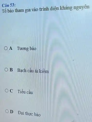 Câu 53:
Tế bào tham gia vào trình diện kháng nguyên
A Tương bào
B Bạch câu ái kiềm
C Tiểu câu
D Đại thực bào