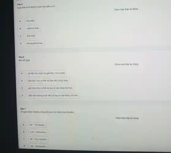 Câu 5
Quá trình hình thành nước tiểu diên ra ở:
cầu thận.
B nephron thận. B
C ống thận.
D khoang Bowman.
Câu 6
Bài tiết giúp:
A tái hấp thụ nước và giải độc cho cơ thể.
B thải độc cho cơ thế và điều tiết lượng máu B
C giải độc cho cơ thế và duy tri cân bằng nội môi. C
D điều tiết lượng nước tiếu và duy trì cân bǎng nội môi D
Câu 7
Ở người bình thường nồng độ glucose trong máu khoảng
A 6,4-10mmol/L A
B B
7,35-7,45mmol/L.
C 36-37,5mmol/L. C
D 3,9-6,4mmol/L D
Chọn một đáp án đúng
