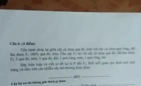 Càu 6. (4 điểm)
Tiến hành phép lai giữa cây cà chua quả đó, tròn với cây cả chua quả vàng, du
thu được F_(1)100%  quả đỏ, tròn. Cho cây F_(1) lai với cây cả chua quả đi, dài thu durye
F_(2) 3 quả đỏ, tròn;3 quả đó, dài;1 quả vàng, tròn;1 qui vàng, dài.
Hãy biện luận và viết sơ đồ lai từ P đến F_(2). Biết mỗi gene qui định một tính
trạng và nằm trên các nhiễm sắc thể thường khác nhau.
__
__
Can bộ coi thi không giải thích gì thêm
__