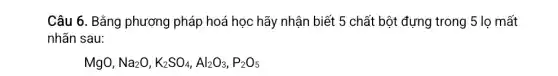 Câu 6. Bằng phương pháp hoá học hãy nhận biết 5 chất bột đựng trong 5 lọ mất
nhãn sau:
MgO, Na_(2)O,K_(2)SO_(4),Al_(2)O_(3),P_(2)O_(5)