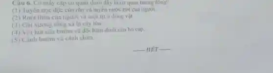 Câu 6. Có mây cặp cơ quan dưới đây là cơ quan tương đông?
(1) Tuyến nọc độc của rắn và tuyến nước bọt của người.
(2) Ruột thừa của người và ruột tịt ở động vật
(3) Gai xương rồng và lá cây lúa.
(4) Vòi hút của bướm và đôi hàm dưới của bọ cạp.
(5) Cánh bướm và cánh chim.