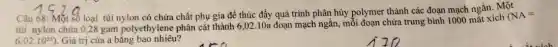 Câu 68: Một số loại túi nylon có chứa chất phụ gia đề thúc đầy quá trình phân hủy polymer thành các đoạn mạch ngắn. Một
túi nylon chứa 0,28 gam polyethylene phân cắt thành 6,02.10a đoạn mạch ngǎn, mỗi đoạn chứa trung bình 1000 mắt xích
(NA=
6,02cdot 10^23) . Giá trị của a bằng bao nhiêu?