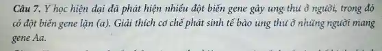 Câu 7. Y học hiện đại đa phát hiện nhiều đột biến gene gây ung thu ở người, trong đó
có đột biến gene lặn (a) . Giải thích có chế phát sinh tế bào ung thu ở những người mang
gene Aa.