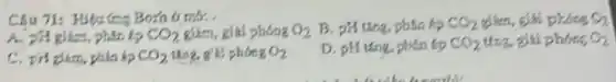 Câu 71: Hitutes Born 6 mix...
CO_(2) giảm, giải phóng O_(2) B. plating, phin hp CO_(2)	O_(2)
pCO_(2)15ng,g^115phacute (o)ngO_(2)
D. pH Ling, phan to CO_(2) ung, giải phongO_(2)