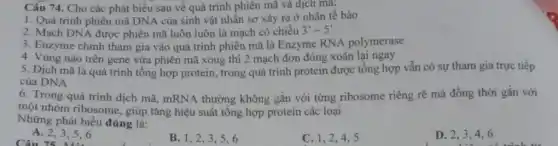 Câu 74. Cho các phát biểu sau về quá trình phiên mã và dịch ma:
1. Quá trình phiên mã DNA của sinh vật nhân sơ xảy ra ở nhân tế bào
2. Mạch DNA được phiên mã luôn luôn là mạch có chiều 3'-5'
3. Enzyme chính tham gia vào quá trình phiên mã là Enzyme RNA polymerase
4. Vùng nào trên gene vừa phiên mã xong thì 2 mạch đơn đóng xoắn lại ngay
5. Dịch mã là quá trình tổng hợp protein, trong quá trình protein được tổng hợp vẫn có sự tham gia trực tiếp
của DNA
6. Trong quá trình dịch mã, mRNA thường không gắn với từng ribosome riêng rẽ mà đồng thời gắn với
một nhóm ribosome., giúp tǎng hiệu suất tổng hợp protein các loại
Những phát biểu đúng là:
A. 2,3,5 .6
B. 1,23,5,6
C. 1,2,4,5
D. 2,3,4 .6