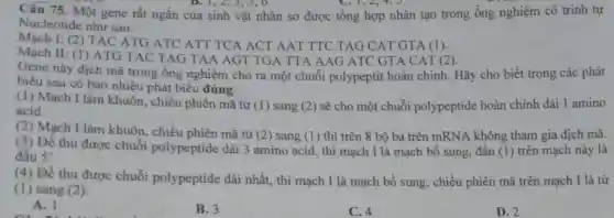 Câu 75. Một gene rất ngắn của sinh vật nhân sơ được tổng hợp nhân tạo trong ống nghiệm có trinh tự
Nucleotide như sau:
Mạch 1: (2) TAC ATG ATC ATT TCA ACT AAT TTC TAG CAT GTA (1).
Mạch II: (1) ATG TAC TAG TAA AGT TGA TTA AAG ATC GTA CAT (2).
Gene này dịch mã trong ống nghiệm cho ra một chuỗi polypeptit hoàn chỉnh. Hãy cho biết trong các phát
biểu sau có bao nhiêu phát biểu đúng:
(1) Mạch I làm khuôn, chiều phiên mã từ (1) sang (2)sẽ cho một chuỗi polypeptide hoàn chỉnh dài 1 amino
acid.
(2) Mạch I làm khuôn chiều phiên mã từ (2)sang (1) thì trên 8 bộ ba trên mRNA không tham gia dịch mã.
(3) Để thu được chuỗi polypeptide dài 3 amino acid, thì mạch I là mạch bổ sung, đầu (1) trên mạch này là
đầu 5'
(4) Đề thu được chuỗi polypeptide dài nhất, thì mạch I là mạch bổ sung , chiều phiên mã trên mạch I là từ
(1) sang (2)
A. 1
C. as the
B. 3
C. 4
D. 2