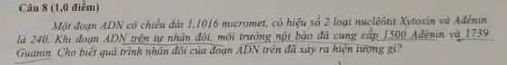 Câu 8 (1,0 điểm)
Một đoạn ADN có chiều dài 1,1016 micromet, có hiệu số 2 loại nuclêôtit Xytoxin và Ađênin
là 240.Khi đoạn ADN trên tự nhân đôi, môi trường nội bào đã cung cấp 1500 Ađênin và 1739
Guanin.Cho biết quá trình nhân đôi của đoạn ADN trên đã xảy ra hiện tượng gì?