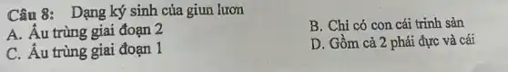 Câu 8: Dạng ký sinh của giun lươn
B. Chỉ có con cái trinh sản
A. Áu trùng giai đoạn 2
C. Áu trùng giai đoạn 1
D. Gồm cả 2 phái đực và cái