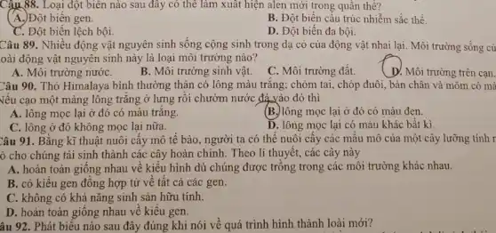 Câu 88. Loại đột biên nào sau đây có thể làm xuât hiện alen mới trong quần thề?
A.)Đột biến gen.
B. Đột biến cấu trúc nhiễm sắc thể
C. Đột biến lệch bội.
D. Đột biến đa bội.
Câu 89. Nhiều động vật nguyên sinh sống cộng sinh trong dạ cỏ của động vật nhai lại. Môi trường sống củ
oài động vật nguyên sinh này là loại môi trường nào?
B. Môi trường sinh vật.
C. Môi trường đất.
D. Môi trường trên can.
Câu 90. Thỏ Himalaya , bình thường thân có lông màu trǎng; chỏm tai, chóp đuôi, bàn chân và mõm có mà
Nếu cao một mảng lông trǎng ở lưng rồi chườm nước đá vào đó thì
A. lông mọc lại ở đó có màu trắng.
(B.) lông mọc lại ở đó có màu đen.
C. lông ở đó không mọc lại nữa.
D. lông mọc lại có màu khác bất kì
Câu 91. Bằng kĩ thuật nuôi cấy mô tế bào, người ta có thể nuôi cấy các mẩu mô của một cây lưỡng tính r
ó cho chúng tái sinh thành các cây hoàn chỉnh. Theo li thuyết, các cây này
A. hoàn toàn giống nhau về kiểu hình dù chúng được trồng trong các môi trường khác nhau.
B. có kiểu gen đồng hợp tử về tất cả các gen.
C. không có khả nǎng sinh sản hữu tính.
D. hoàn toàn giống nhau về kiểu gen.
âu 92. Phát biểu nào sau đây đúng khi nói về quá trình hình thành loài mới?