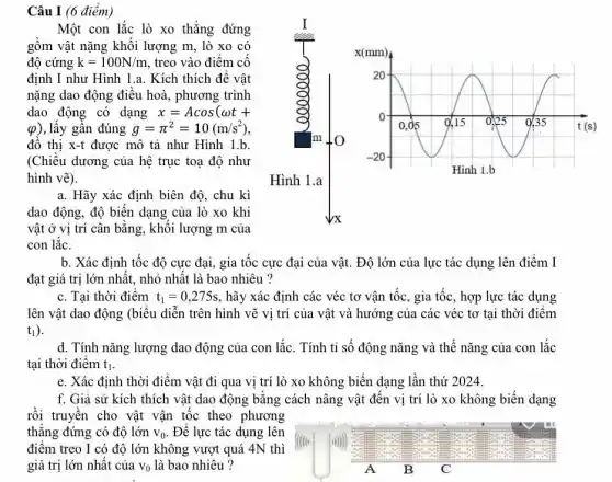 Câu I (6 điểm)
Một con lắc lò xo thẳng đứng gồm vật nặng khối lượng mathrm(m) , lò xo có độ cứng mathrm(k)=100 mathrm(~N) / mathrm(m) , treo vào điểm cố định I như Hình 1.a. Kích thích để vật nặng dao động điều hoà, phương trình dao động có dạng x=A cos (omega t+. .Q^prime) , lấy gần đúng g=pi^2=10(mathrm(~m) / mathrm(s)^2) , đồ thị mathrm(x) -t được mô tả như Hình 1.b. (Chiều dương của hệ trục tọa độ như hình vẽ).
a. Hãy xác định biên độ, chu kì dao động, độ biến dạng của lò xo khi vật ở vị trí cân bằng, khối lượng mathrm(m) của con lắc.
b. Xác định tốc độ cực đại, gia tốc cực đại của vật. Độ lớn của lực tác dụng lên điểm I đạt giá trị lớn nhất, nhỏ nhất là bao nhiêu ?
c. Tại thời điểm mathrm(t)_(1)=0,275 mathrm(~s) , hãy xác định các véc tơ vận tốc, gia tốc, hợp lực tác dụng lên vật dao động (biểu diễn trên hình vẽ vị trí của vật và hướng của các véc tơ tại thời điểm mathrm(t)_(1) ).
d. Tính năng lượng dao động của con lắc. Tính tỉ số động năng và thế năng của con lắc tại thời điểm tỉ.
e. Xác định thời điểm vật đi qua vị trí lò xo không biến dạng lần thứ 2024.
f. Giả sử kích thích vật dao động bằng cách nâng vật đến vị trí lò xo không biến dạng rồi truyền cho vật vận tốc theo phương thẳng đứng có độ lớn mathrm(v)_(0) . Để lực tác dụng lên điểm treo mathrm(I) có độ lớn không vượt quá 4 mathrm(~N) thì giá trị lớn nhất của mathrm(v)_(0) là bao nhiêu ?