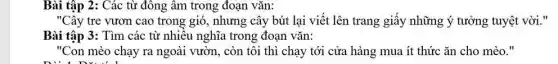 "Cây tre vươn cao trong gió, nhưng cây bút lại viết lên trang giấy những ý tưởng tuyệt vời."
Bài tập 3: Tìm các từ nhiều nghĩa trong đoạn vǎn:
"Con mèo chạy ra ngoài vườn, còn tôi thì chạy tới cửa hàng mua ít thức ǎn cho mèo."